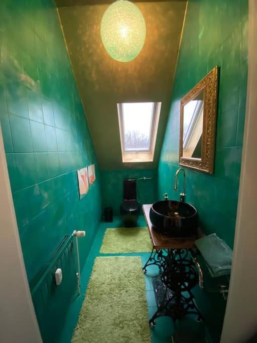 Ferienwohnung In Historischer Villa Mit Gartennutzung Furth im Wald Kültér fotó